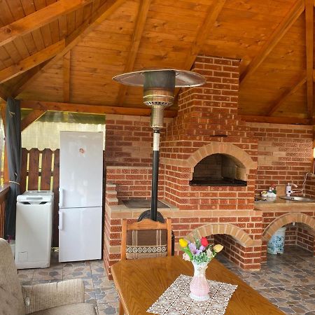 ホテル Casa Alexia Haţeg エクステリア 写真