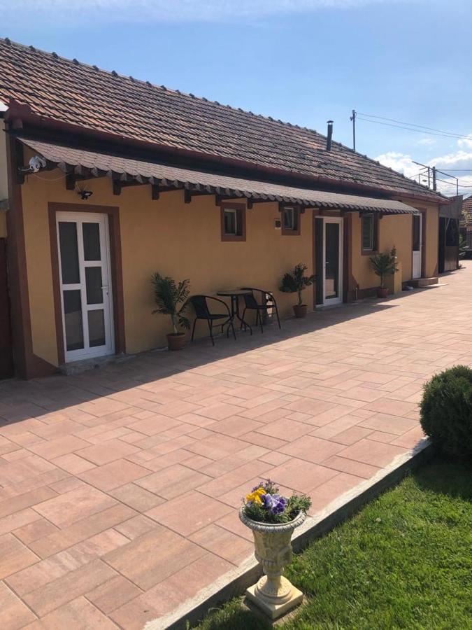 ホテル Casa Alexia Haţeg エクステリア 写真