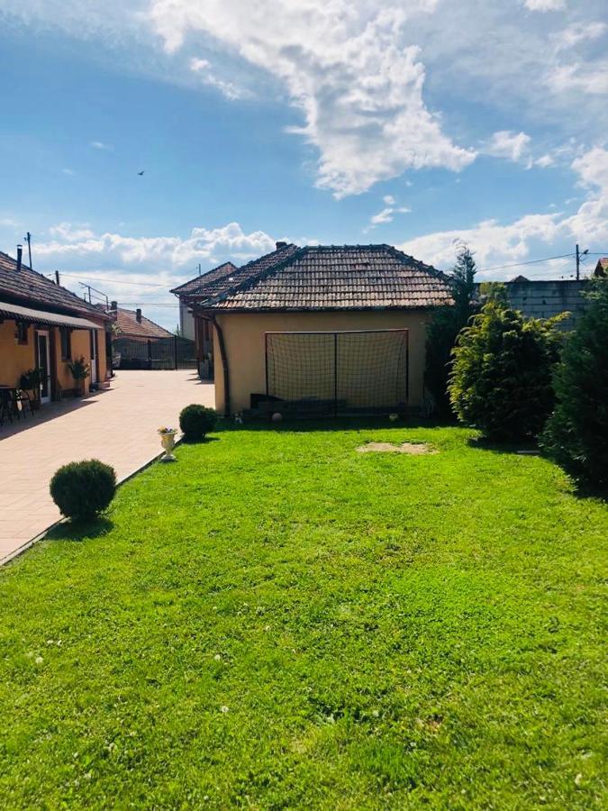 ホテル Casa Alexia Haţeg エクステリア 写真