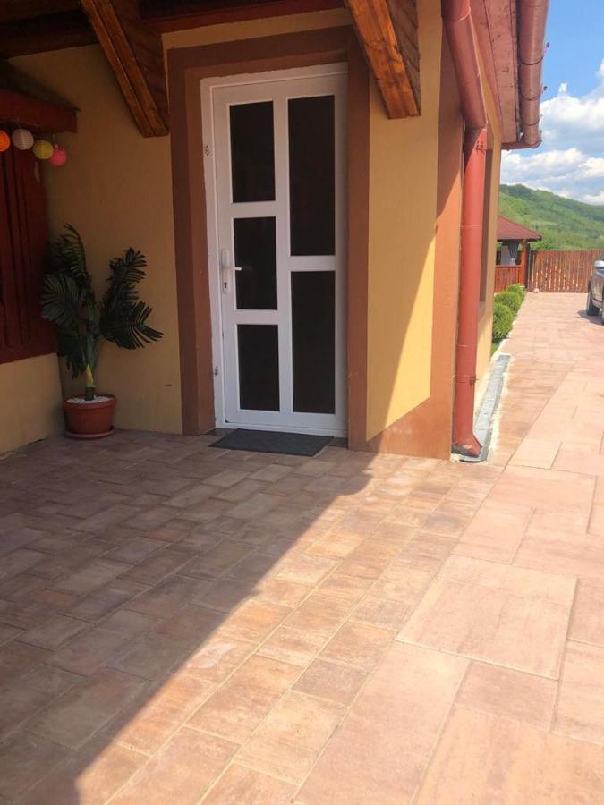 ホテル Casa Alexia Haţeg エクステリア 写真