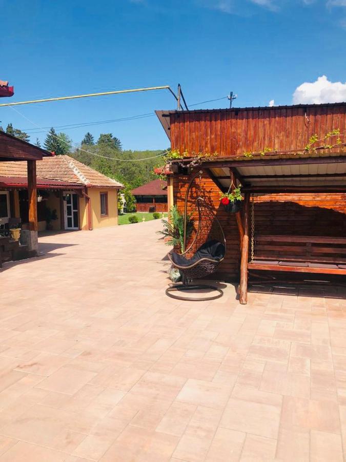 ホテル Casa Alexia Haţeg エクステリア 写真