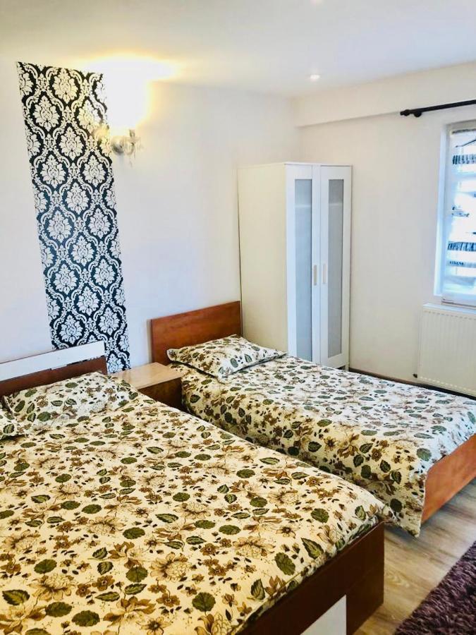 ホテル Casa Alexia Haţeg エクステリア 写真