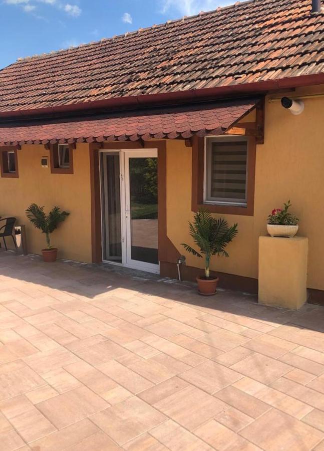 ホテル Casa Alexia Haţeg エクステリア 写真